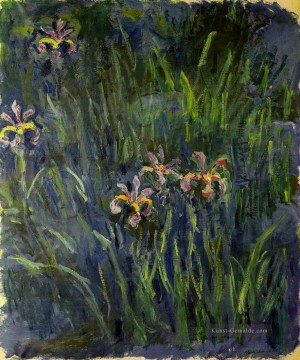  blumen - Iris II Claude Monet impressionistische Blumen